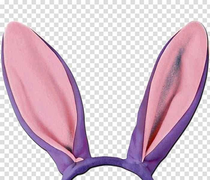 Hare Ear Rabbit Felidae Head, ear transparent background PNG clipart