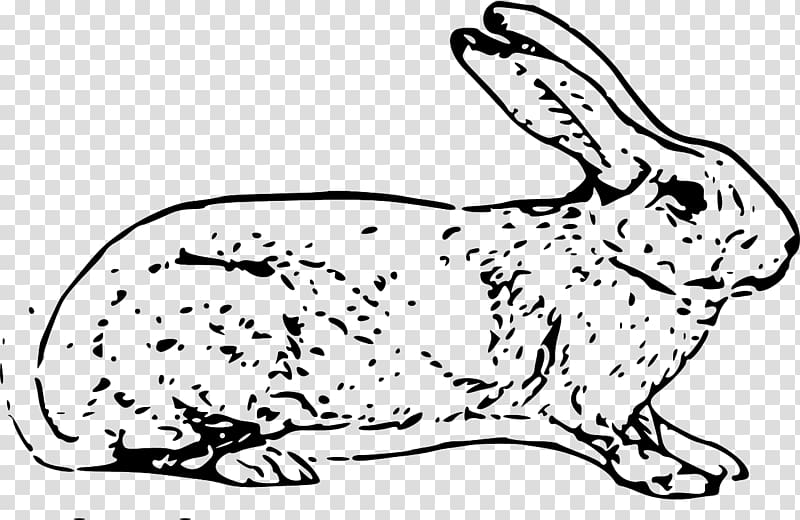 White Rabbit Easter Bunny Hare Domestic rabbit , White spots bunny transparent background PNG clipart