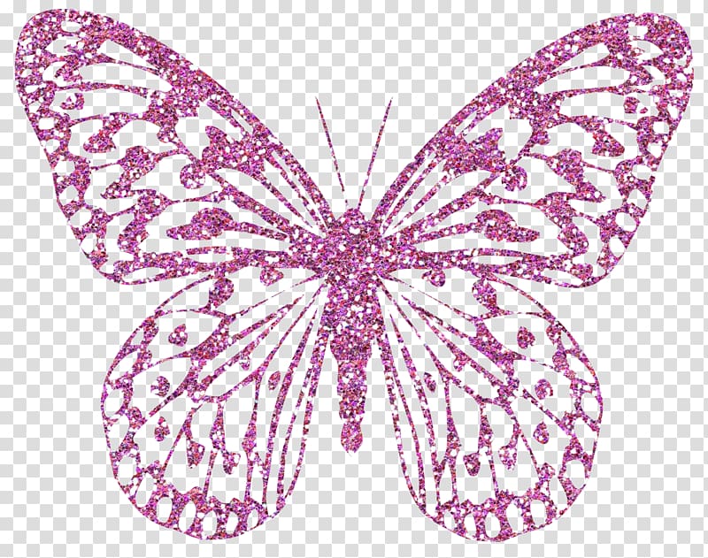 Butterfly Information , pink butterfly transparent background PNG clipart