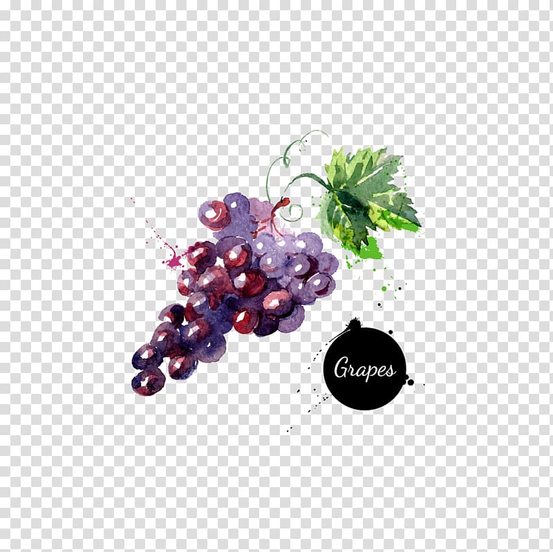 Grape Watercolor painting Drawing , grape transparent background PNG clipart