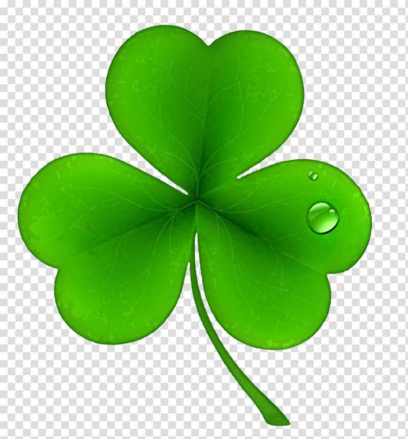 Ireland Shamrock Saint Patrick\'s Day Irish people , Clover transparent background PNG clipart