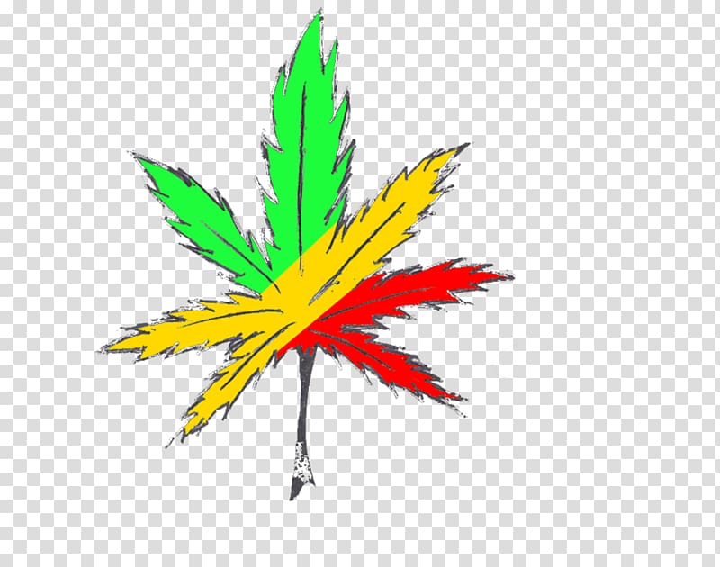 Cannabis smoking Rastafari Drawing, cannabis transparent background PNG clipart