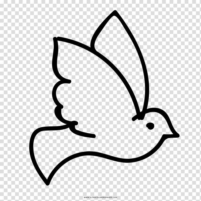 Rock dove Columbidae Coloring book Drawing Ausmalbild, holy spirit dove transparent background PNG clipart