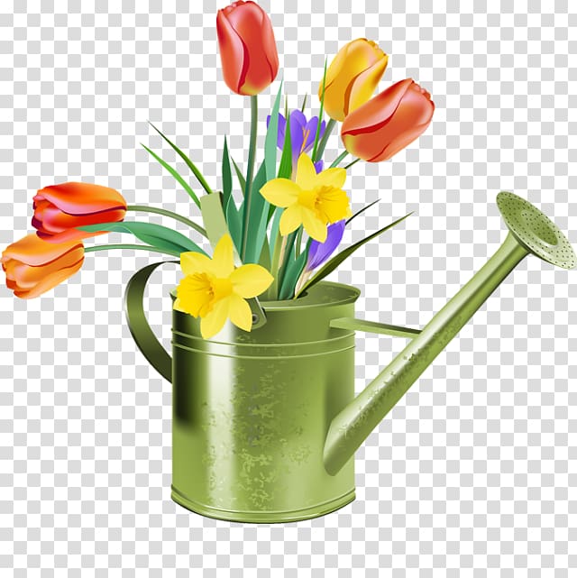 Tulip Flower Spring , Hand-painted tulips transparent background PNG clipart