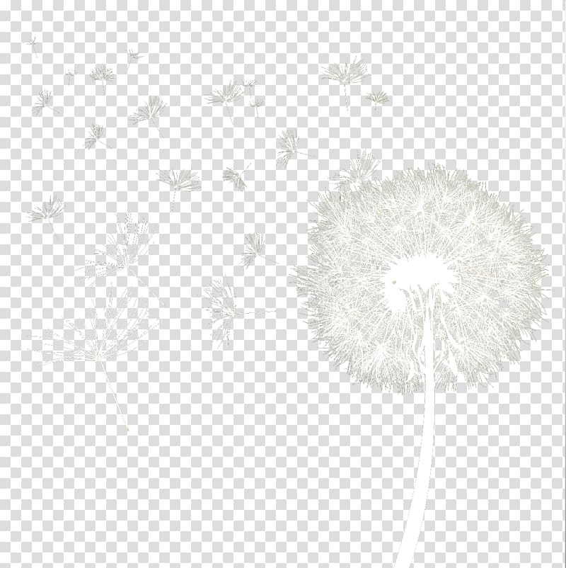 white dandelion flowers, White Black Pattern, Cute dandelion transparent background PNG clipart