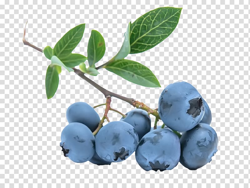 Ice cream Muesli Bilberry European blueberry, Blueberries transparent background PNG clipart