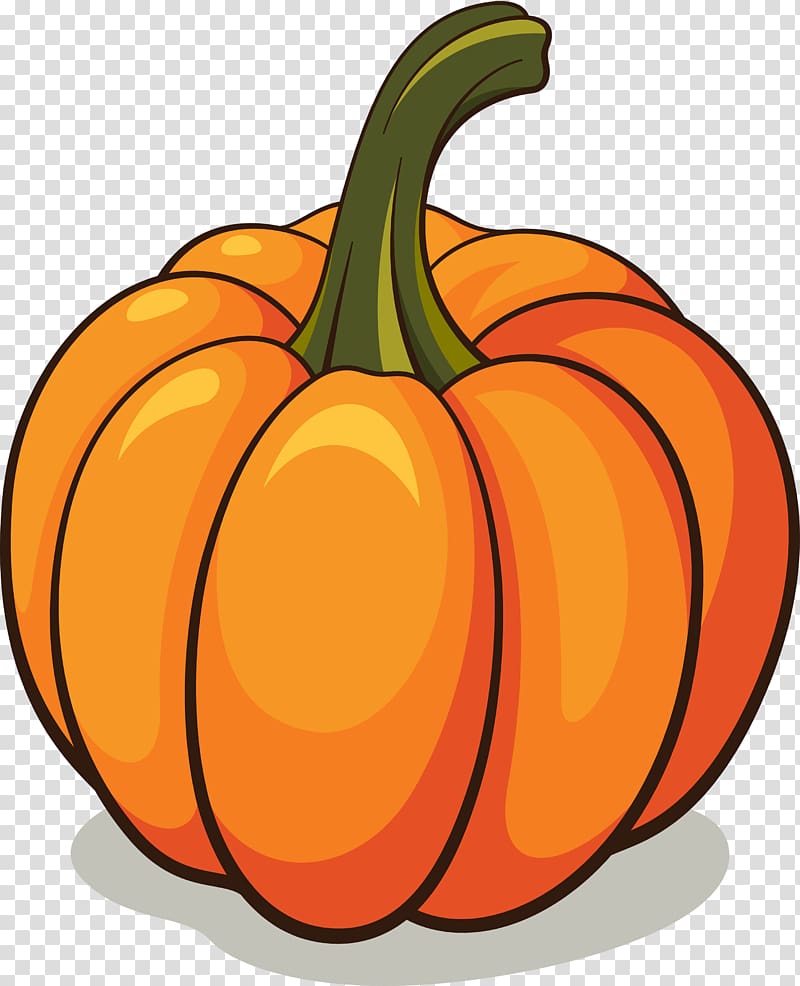 Pumpkin transparent background PNG clipart