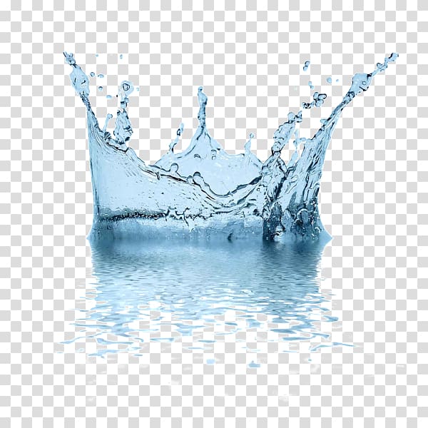 Water Drop , water transparent background PNG clipart