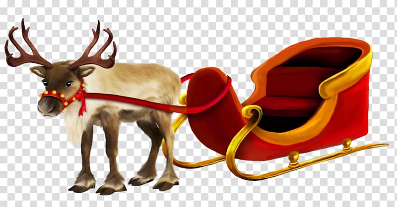 Rudolph the Red-Nosed Reindeer, Christmas Reindeer and Sleigh , gray reindeer carrying Santa sleigh transparent background PNG clipart