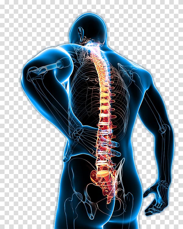 Low back pain Pain management Human back Neck pain Chronic pain, back pain transparent background PNG clipart