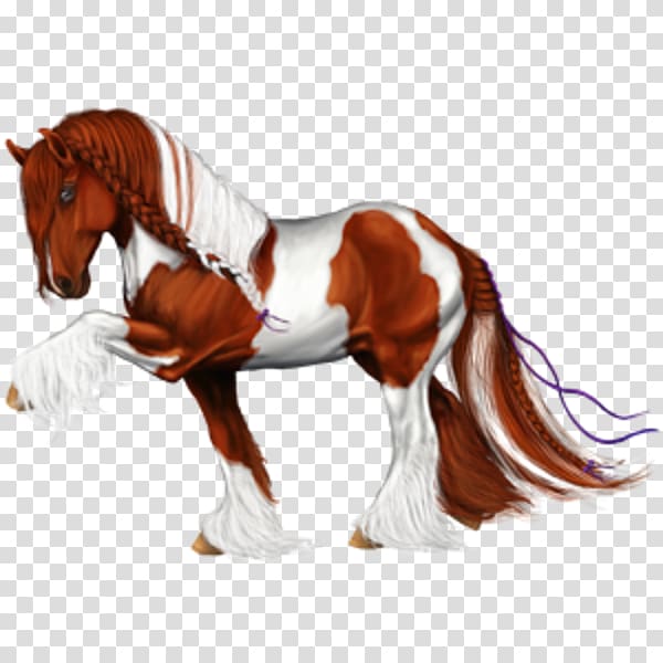 Mane Shire horse Howrse Stallion Marwari horse, mustang transparent background PNG clipart