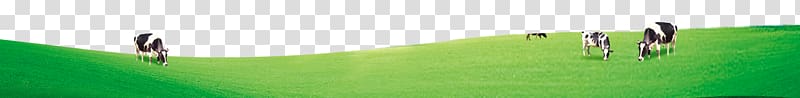 Artificial turf Light Meadow Lawn Energy, Creative Milk Ranch transparent background PNG clipart