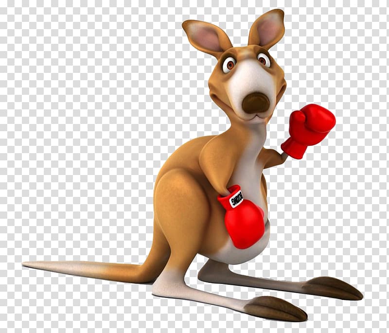 Red kangaroo Tree-kangaroo Boxing kangaroo, Kangaroo wearing boxing gloves transparent background PNG clipart