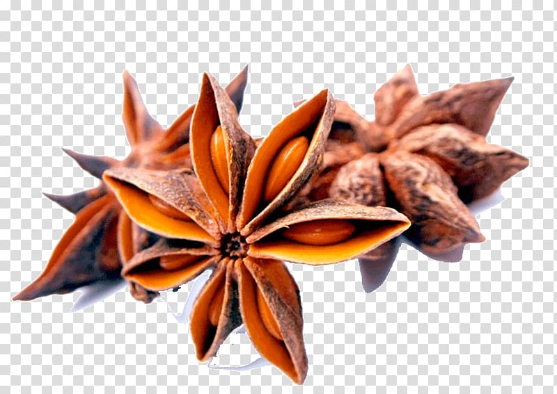 Star anise Spice Herb Chinese cuisine, Illicium verum transparent background PNG clipart