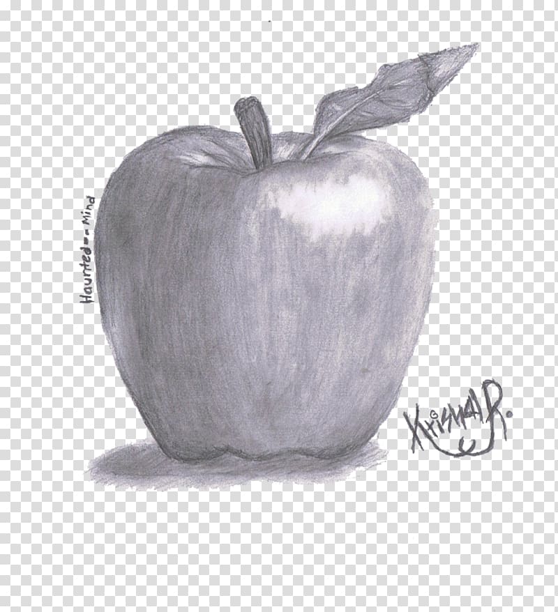 Apple Doodle Pencil Sketch High-Res Vector Graphic - Getty Images