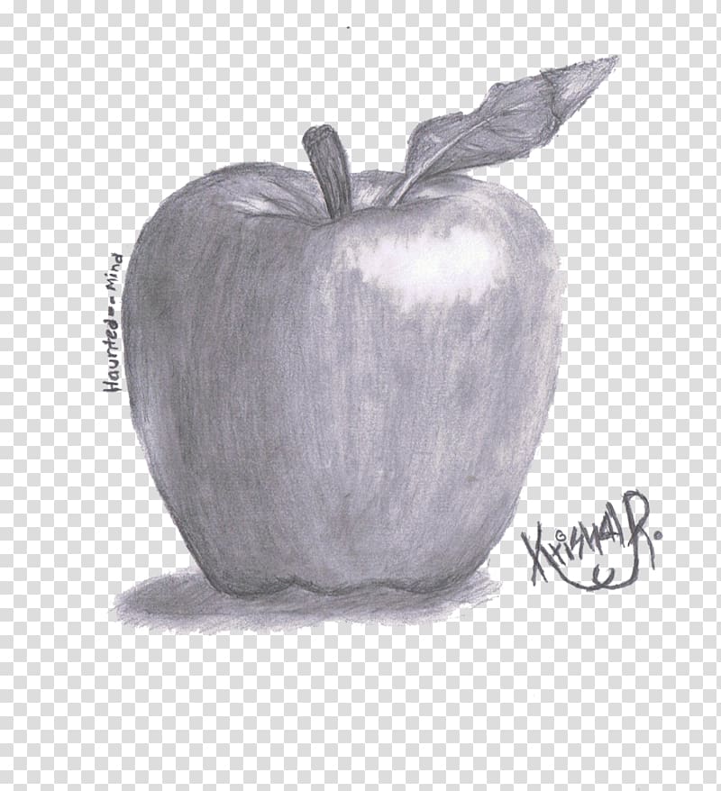 Apple Pencil Drawing Sketch, shading transparent background PNG clipart