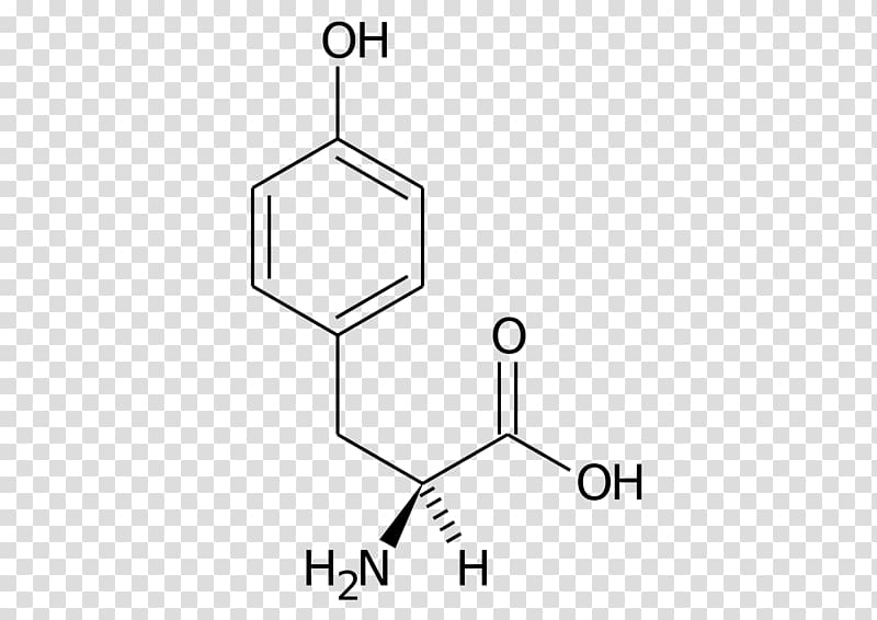 Protein tyrosine phosphatase Molecule CAS Registry Number Protocatechuic acid Chemical compound, others transparent background PNG clipart