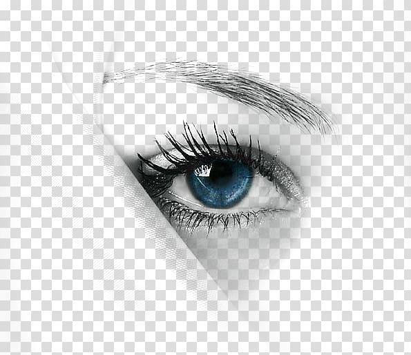 blue eyes transparent background PNG clipart