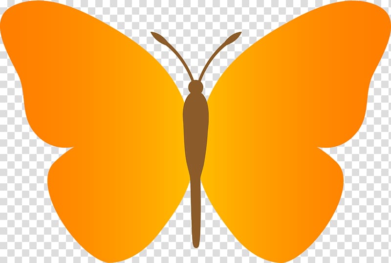 Butterfly , Butterfly transparent background PNG clipart