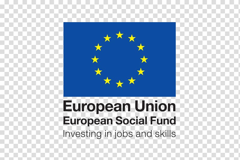 European Union Directorate-General for European Civil Protection and Humanitarian Aid Operations European Social Fund, Carnival flag transparent background PNG clipart
