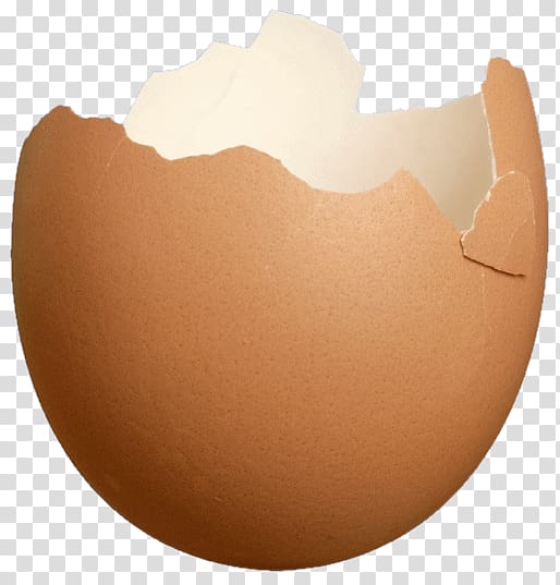 Eggshell Food Easter egg Typographical error, eggshell transparent background PNG clipart
