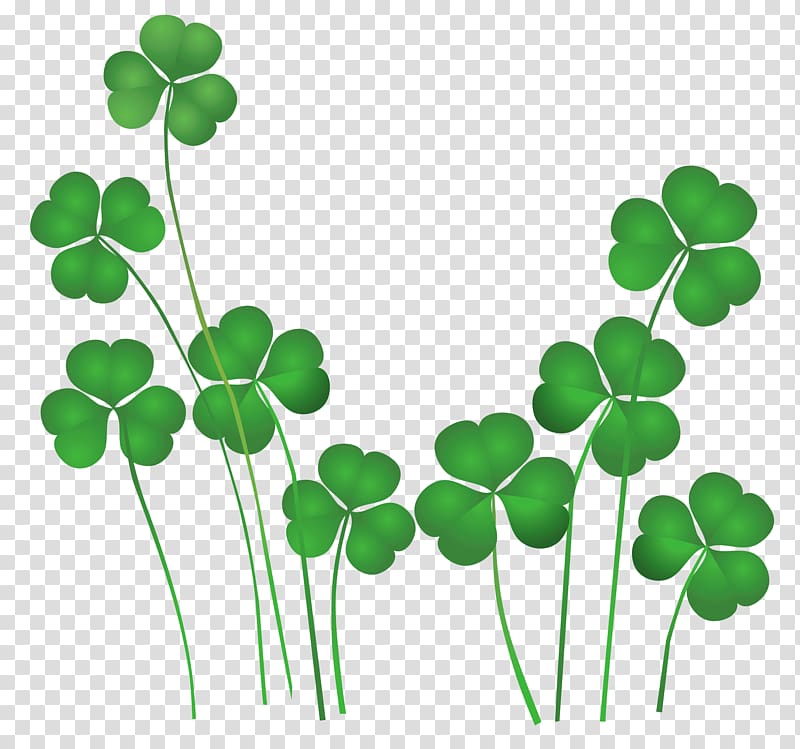 Saint Patrick's Day Shamrock Leprechaun Irish people , St Patricks Day Shamrocks Decor , 4 leaves clover lot transparent background PNG clipart