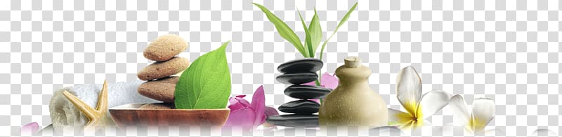 cairn, white vase, and white-and-yellow plumeria flowers, Massage Day spa Beauty Parlour Spa Dior, others transparent background PNG clipart