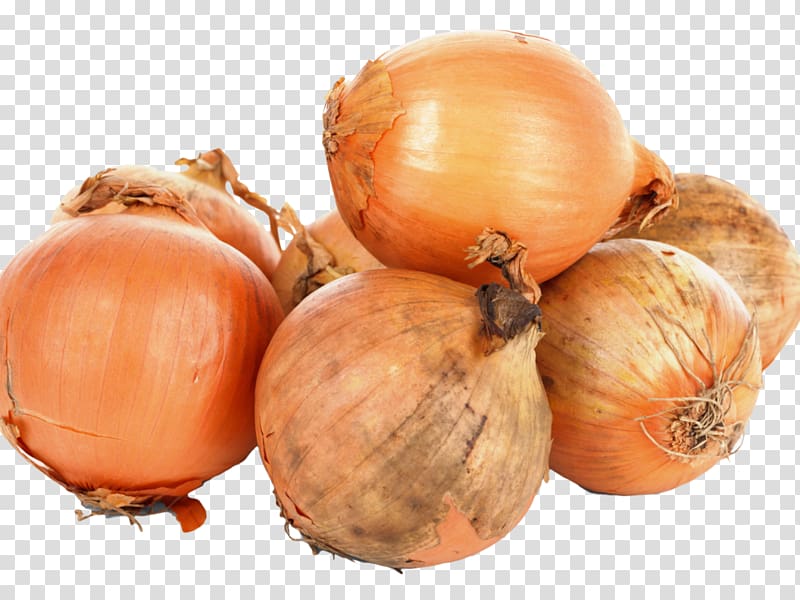Yellow onion Portable Network Graphics White onion Shallot Hachis Parmentier, vegetable transparent background PNG clipart