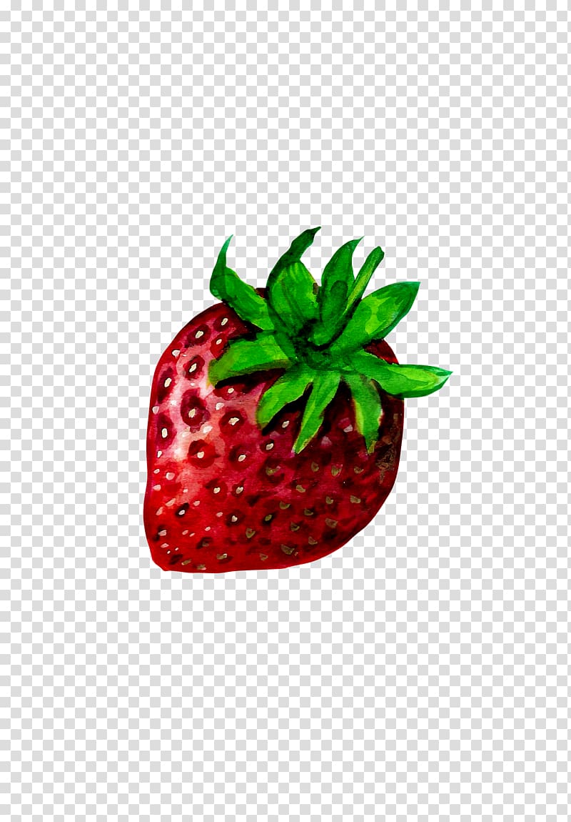 Strawberry Aedmaasikas Illustration, Hand-painted strawberry transparent background PNG clipart