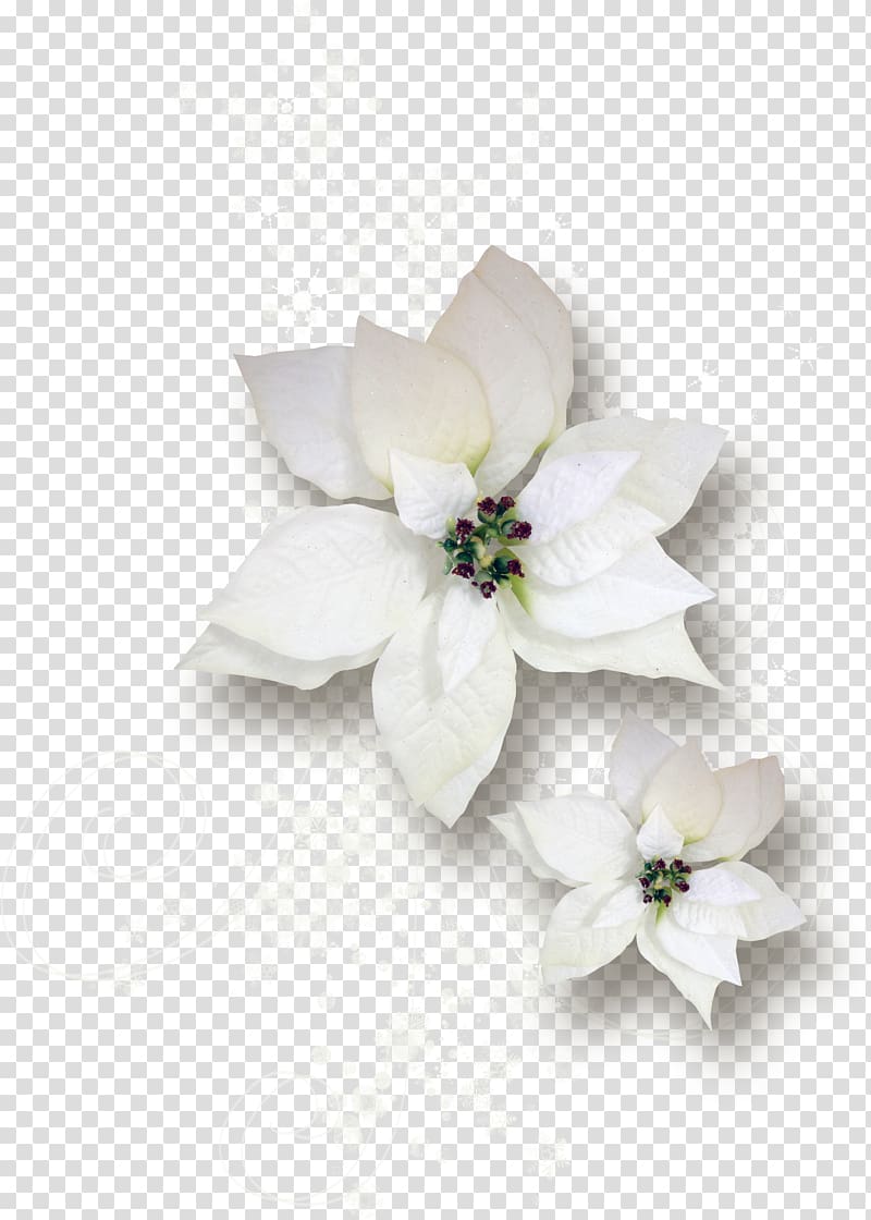 Cut flowers Gardenia Floral design Floristry, flower branch transparent background PNG clipart