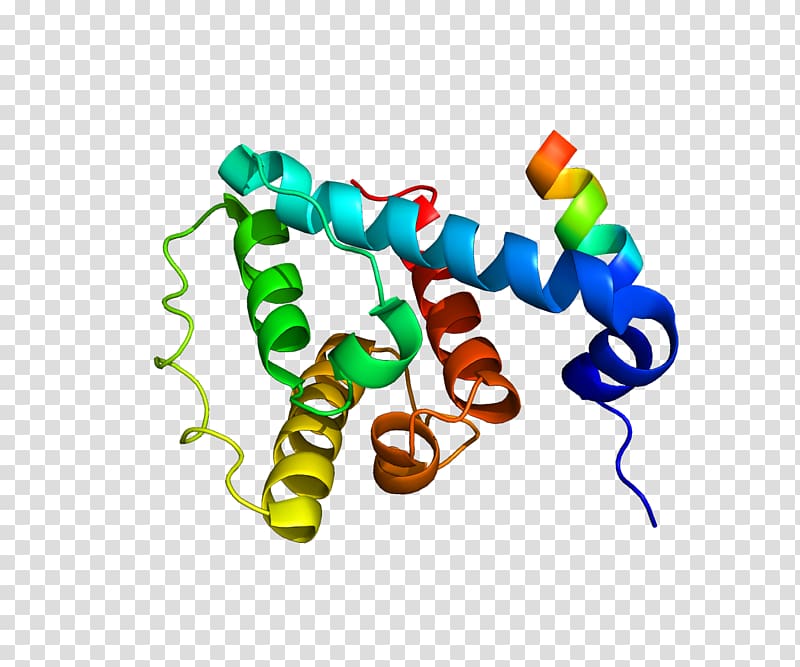 Integrin-linked kinase Protein kinase Protein Data Bank Gene, others transparent background PNG clipart