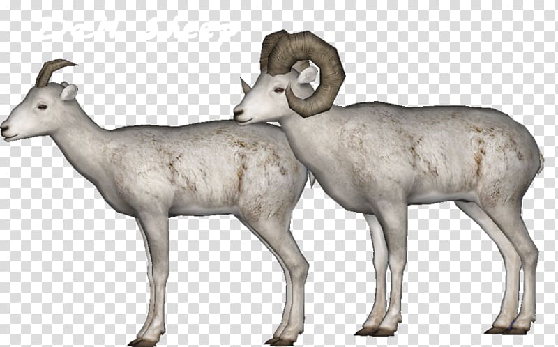 Argali Deer Mr. Krabs Antelope Sheep, deer transparent background PNG clipart