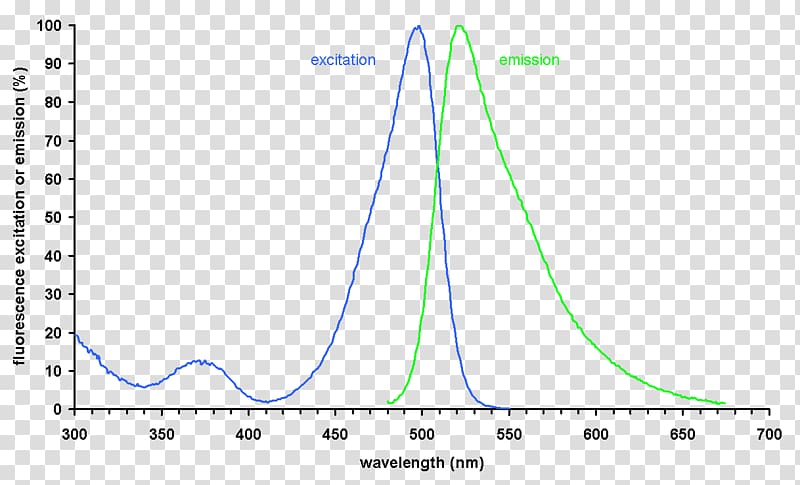 SYBR Green I Emission spectrum Fluorescence Absorption Fluorophore, emission transparent background PNG clipart