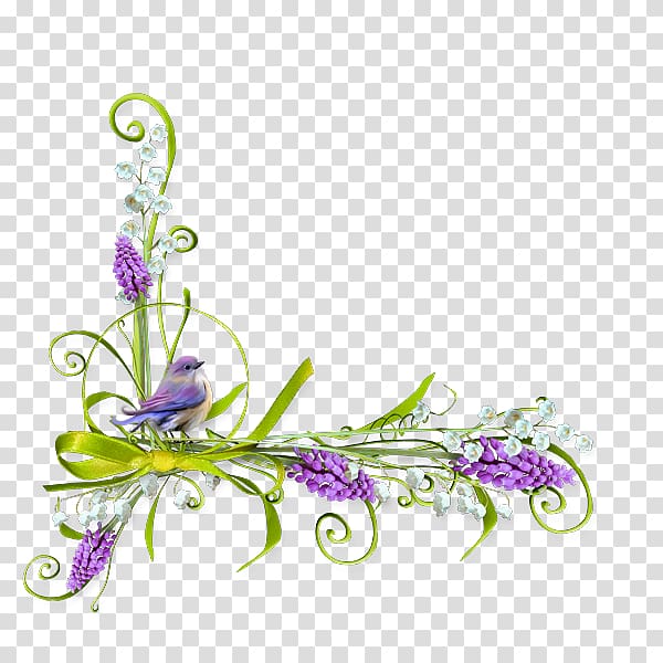 Paper Curb Drawing Frames, flower transparent background PNG clipart