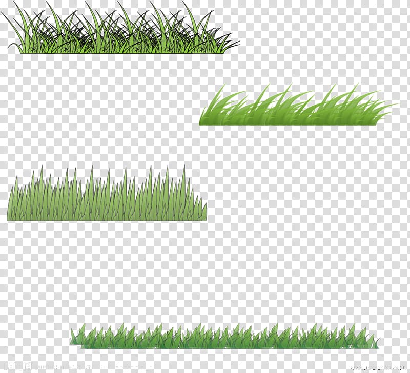 Motif Euclidean , Four kinds of grass to pull Free transparent background PNG clipart
