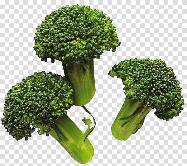 Broccoli Vegetable Cabbage, Broccoli transparent background PNG clipart
