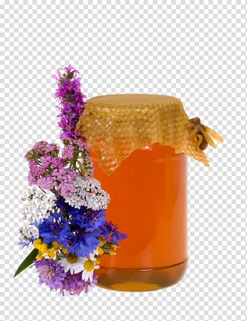 Honey bee Syrup Flower graph, honey transparent background PNG clipart