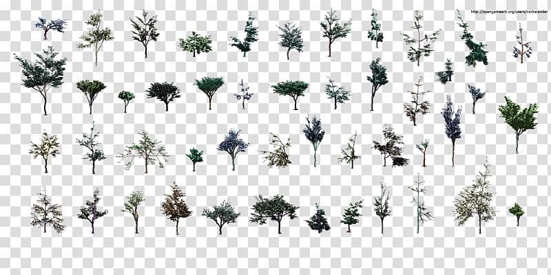 Tree Plant Branch Larch Pine, small leaves transparent background PNG clipart