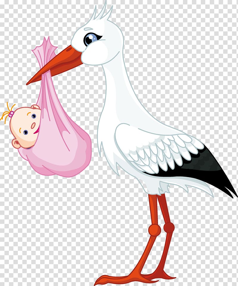 white and black stork carrying baby illustration, Stork Bird Duck Swan Goose, stork baby transparent background PNG clipart