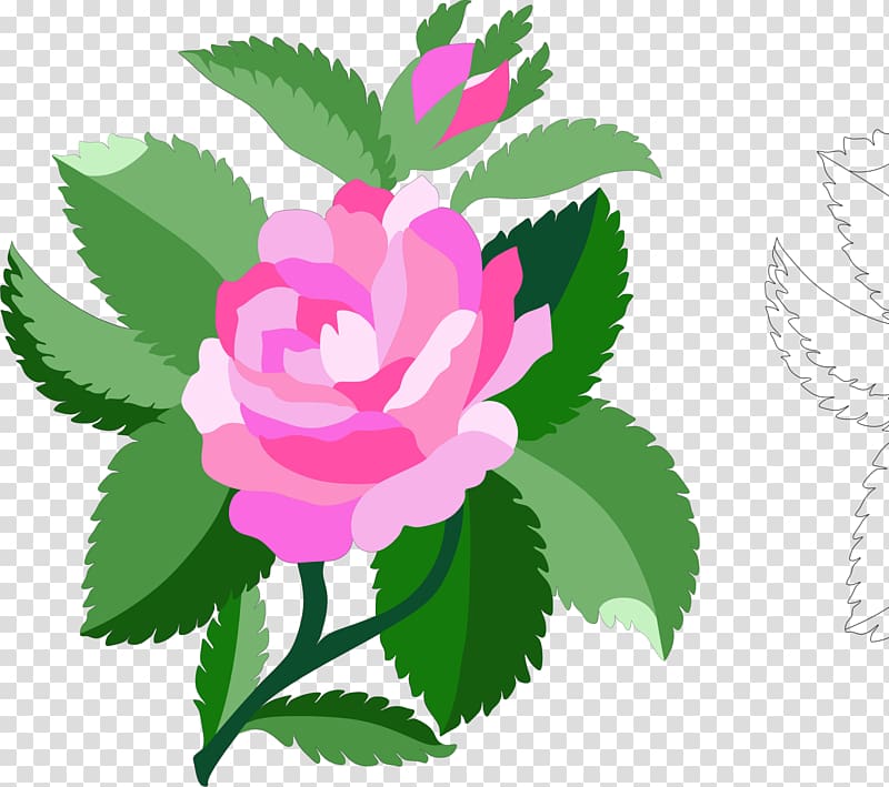 Damask rose Black rose , damask transparent background PNG clipart