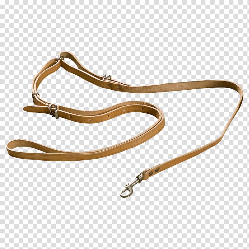 Leash Material Metal, Dog lead transparent background PNG clipart