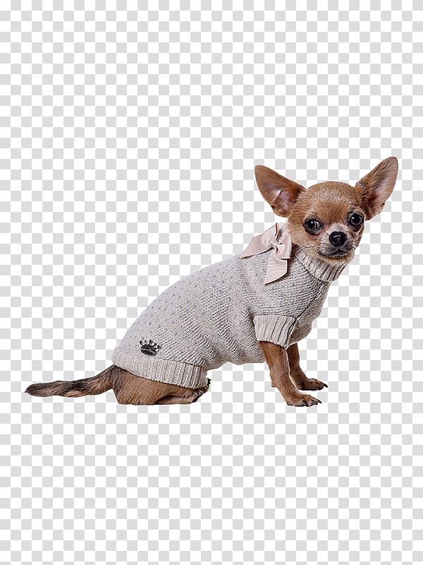 Dog breed Chihuahua Russkiy Toy Puppy Companion dog, puppy transparent background PNG clipart
