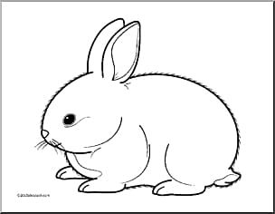 White Rabbit Holland Lop Hare , rabbit transparent background PNG clipart