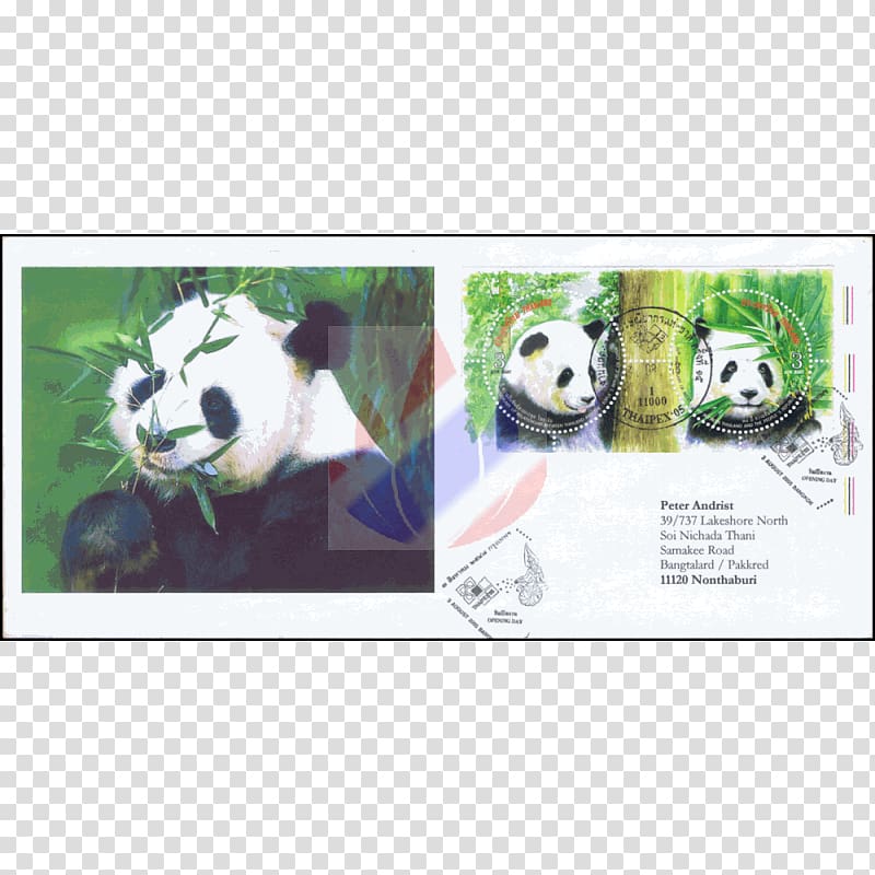 Giant panda Advertising Bamboo Material Eating, chinece diploma transparent background PNG clipart