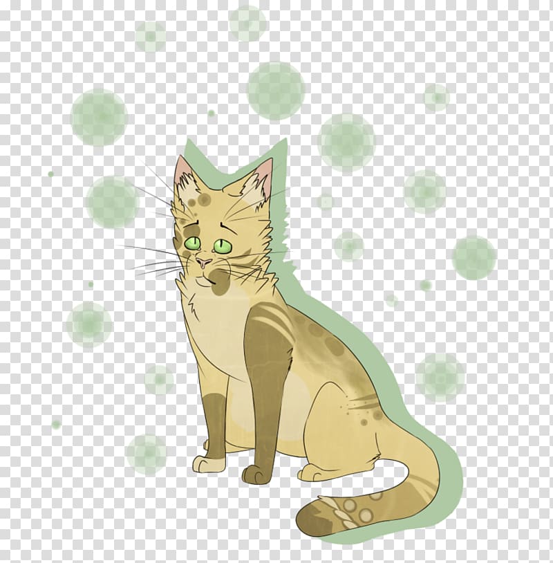 Kitten Whiskers Tabby cat, look back transparent background PNG clipart
