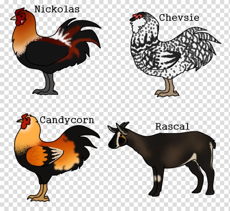 Rooster Fauna Beak Chicken as food, ardagh hoard transparent background PNG clipart