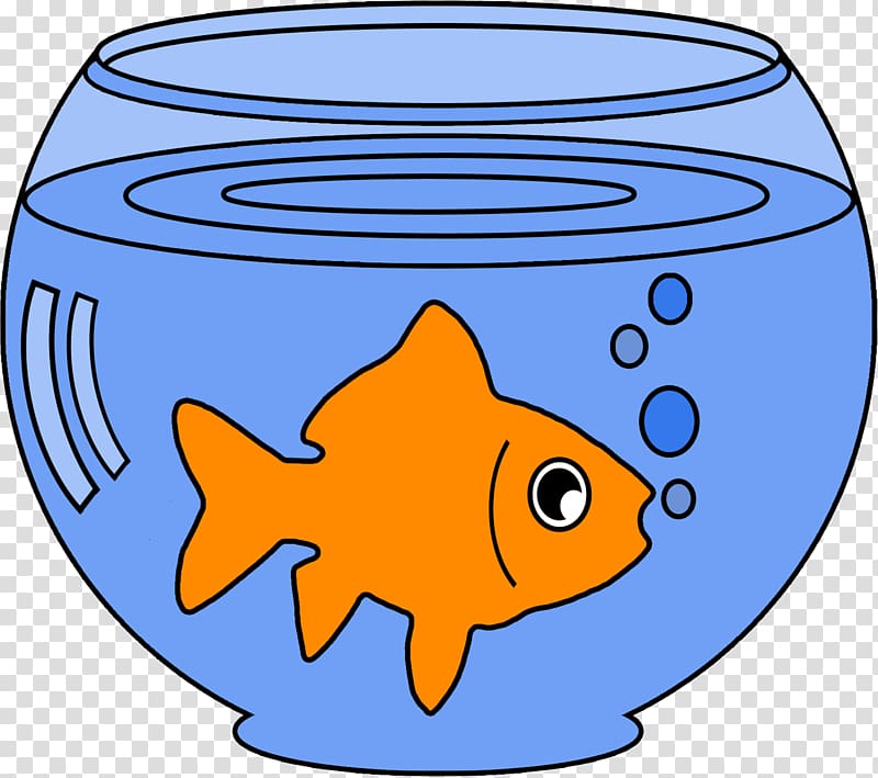 Common goldfish Bowl , goldfish transparent background PNG clipart