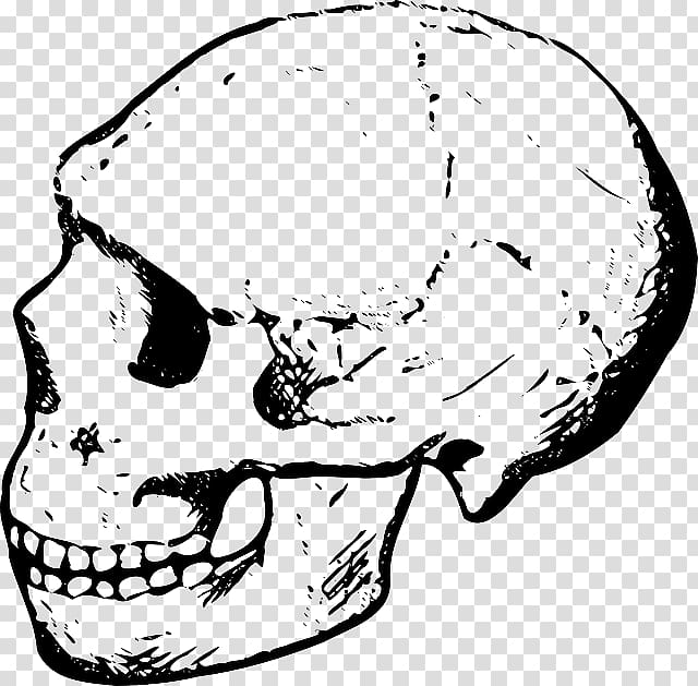 Skull , black skull transparent background PNG clipart