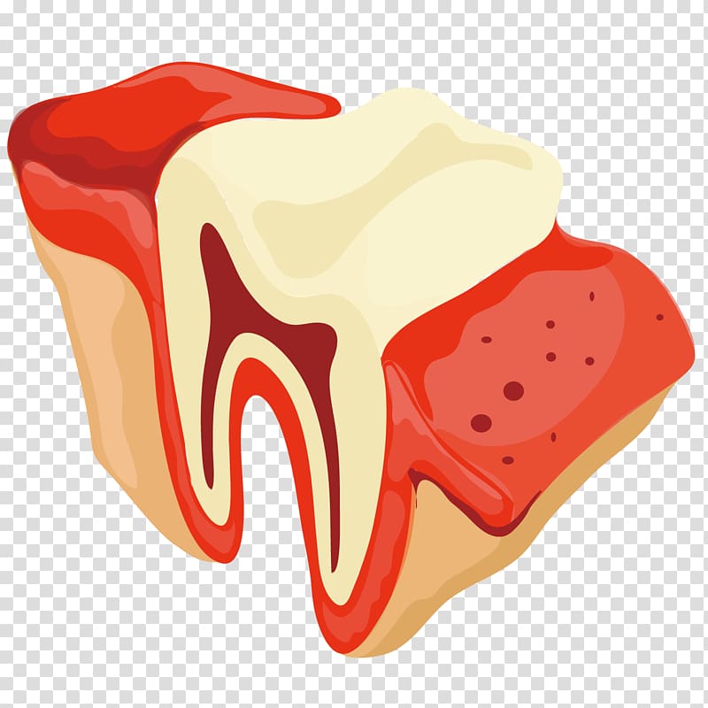 Tooth Dentist Gums, Art Teeth Roots transparent background PNG clipart