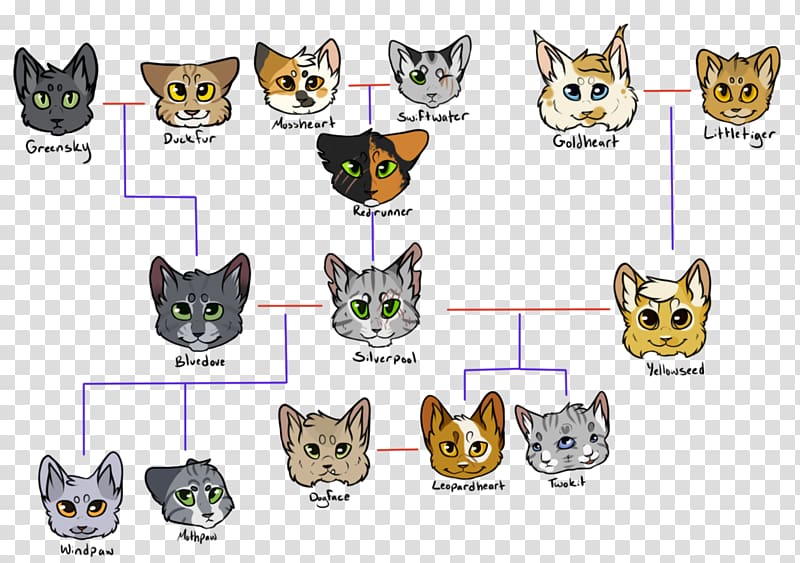 Felidae Leopard Cat Tiger Family tree, Leopards transparent background PNG clipart